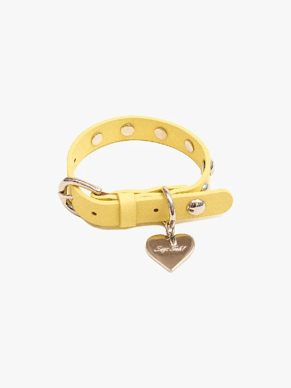 Dog Stud Collar - Butter