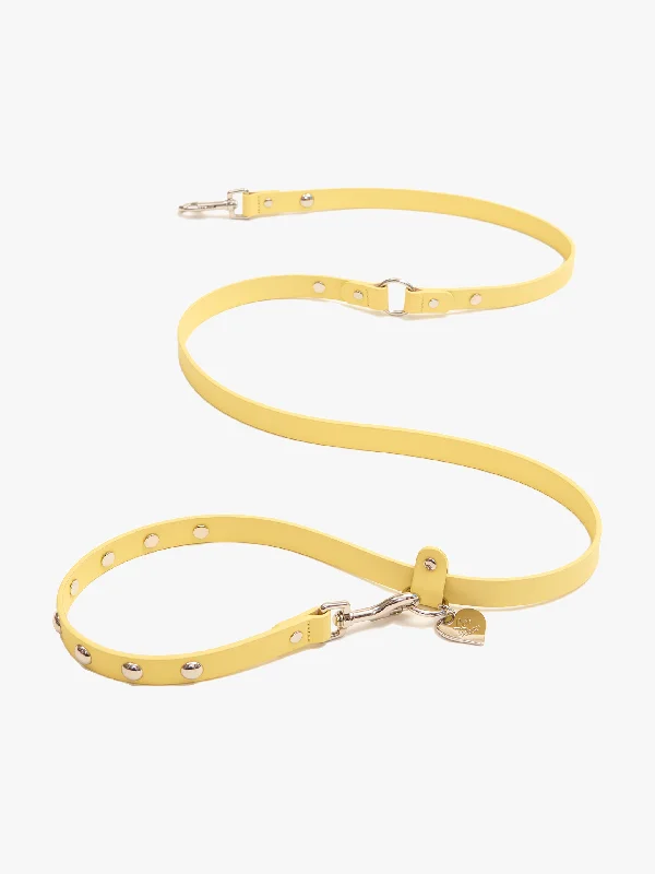 Dog Stud Leash - Butter